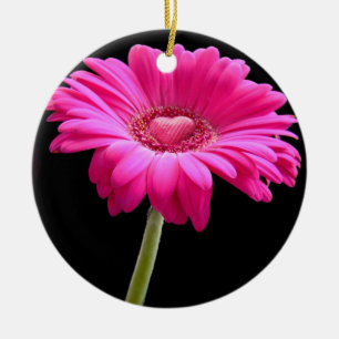 Hot Pink Gerbera Daisy Keramik Ornament