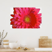 Hot Pink Gerbera Daisy Leinwand Poster (Küche)