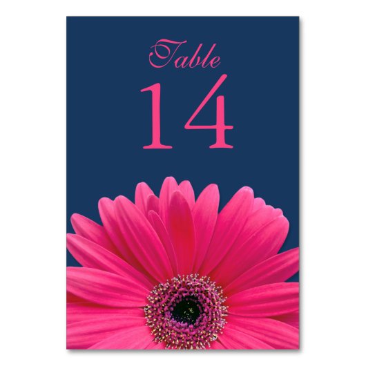 Hot Pink Gerbera Daisy Navy Blue Wedding Tischnummer (Vorderseite)