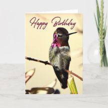 Hot Pink Happy Birthday Hummingbird Foto Card