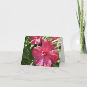 Hot Pink Hibiskus, Freund Karte