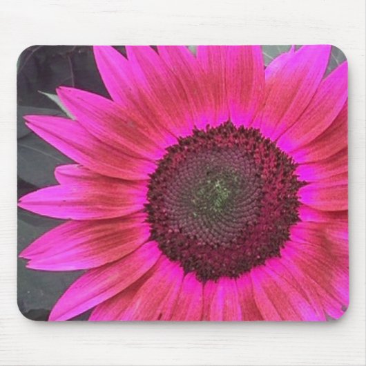 HOT Pink Himbeere Sonnenblumenmousepad Mousepad (Vorne)