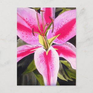 Hot Pink Lilie Blume Aquarell Pop Blume Postkarte