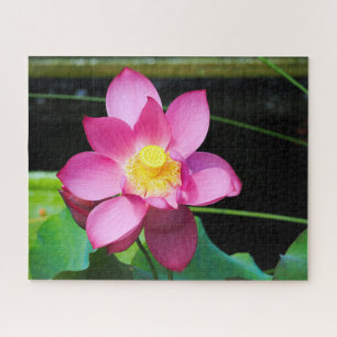 Hot Pink Lotus Puzzle