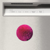Hot-Pink-Makro-Blume-Magnet Magnet (In Situ (Geschirrspüler))