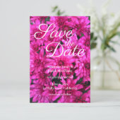 Hot Pink Mums Floral Foto Save the Date Einladung (Stehend Vorderseite)
