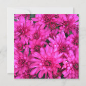 Hot Pink Mums Foto Hochzeit Einladung (Rückseite)