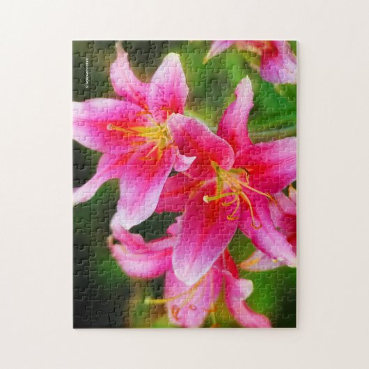 Hot Pink Olympic Torch Lilies Puzzle (Vertikal)