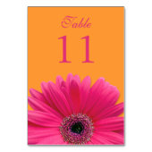 Hot Pink Orange Gerbera Daisy Wedding Tischnummer (Rückseite)