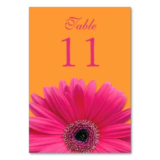 Hot Pink Orange Gerbera Daisy Wedding Tischnummer (Vorderseite)