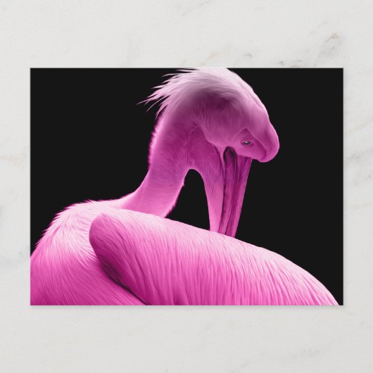 Hot Pink Pelican Custom Postcard Postkarte (Vorderseite)