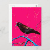Hot Pink Raven Crow Postkarte (Vorne/Hinten)