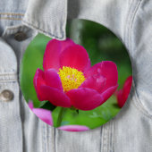 Hot Pink-Rose Button (Beispiel)