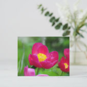 Hot Pink-Rose Feiertagspostkarte (Stehend Vorderseite)