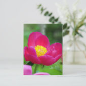 Hot Pink-Rose Feiertagspostkarte (Stehend Vorderseite)