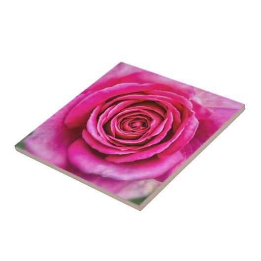 Hot Pink-Rose Fliese (Seite)