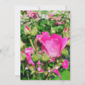 Hot Pink Rose Foto Kalligrafie Einladung (Rückseite)