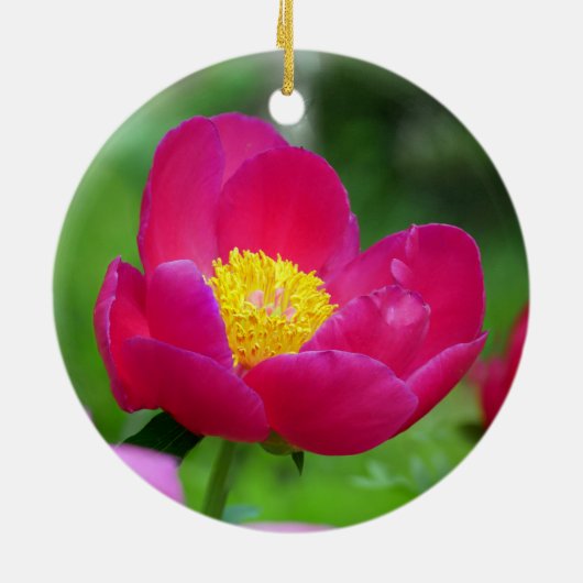 Hot Pink-Rose Keramik Ornament (Hinten)