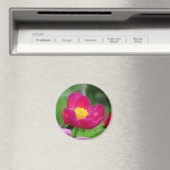 Hot Pink-Rose Magnet (In Situ (Geschirrspüler))