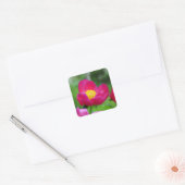 Hot Pink-Rose Quadratischer Aufkleber (Umschlag)