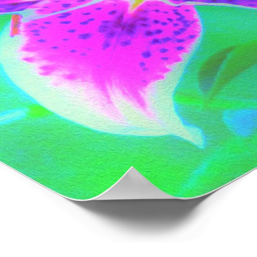 Hot Pink Stargazer Liege auf Türkis und Grün Poster (Ecke)