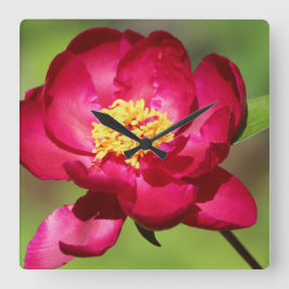 Hot Pink Trend Quadratische Wanduhr