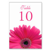 Hot Pink White Gerbera Daisy Wedding Tischnummer (Rückseite)