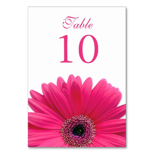 Hot Pink White Gerbera Daisy Wedding Tischnummer (Vorderseite)