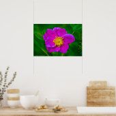 Hot Pink Wild Rose Wildblume Poster (Küche)