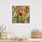 Hot Poppy Acrylmalerei Poster (Küche)