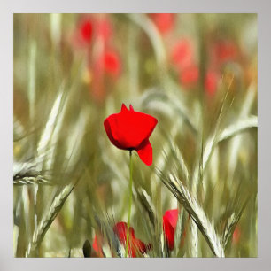 Hot Poppy Acrylmalerei Poster
