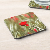 Hot Poppy Acrylmalerei Untersetzer (Linke Seite)