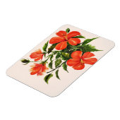 Hot Red Hibiskus Magnet (Linke Seite)