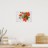 Hot Red Hibiskus Poster (Küche)