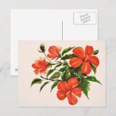 Hot Red Hibiskus Postkarte (Vorne/Hinten)