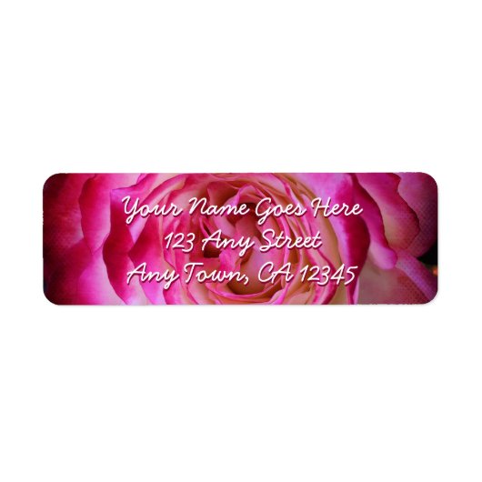 Hot-Rosa-Rose-Blume Foto-Skript-benutzerdefinierte (Vorne)