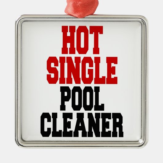 Hot Single Pool Cleaner Ornament Aus Metall (Vorne)