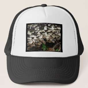 Hot Spings National Park, Arkansas Tree Fungus Truckerkappe