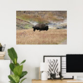 Hot Spring Bison Poster (Heimbüro)
