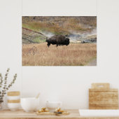 Hot Spring Bison Poster (Küche)