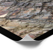 Hot Springs, AR Rock Layers, Mittelwertpapierdruck Poster (Ecke)