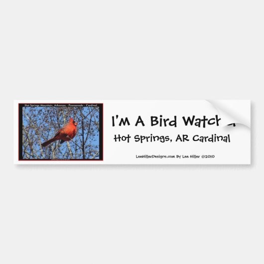 Hot Springs Bergpromenade Kardinal Geschenke Autoaufkleber (Vorne)