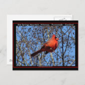 Hot Springs Bergpromenade Kardinal Geschenke Postkarte (Vorne/Hinten)