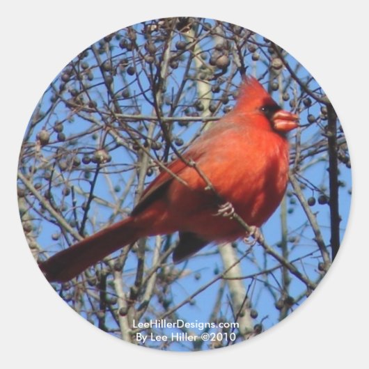 Hot Springs Bergpromenade Kardinal Geschenke Runder Aufkleber (Vorderseite)