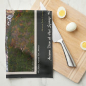 Hot Springs City and National Park Centennial Ed Handtuch (Viertel Falte)