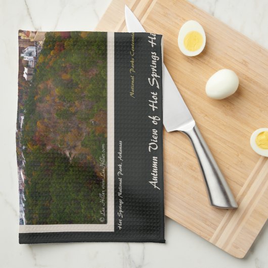 Hot Springs City and National Park Centennial Ed Handtuch (Viertel Falte)