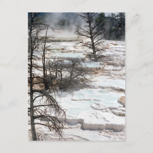 Hot Springs in Neuseeland Postkarte (Vorderseite)