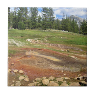 Hot Springs in Tuolumne Meadows, Yosemite, CA Fliese