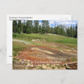 Hot Springs in Tuolumne Meadows, Yosemite, CA Post Postkarte (Vorne/Hinten)
