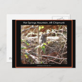 Hot Springs Mountain, Arkansas Chipmunk Geschenke Postkarte (Vorne/Hinten)